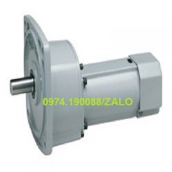 Nissei motor chính hãng tại Việt Nam