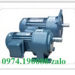 Nhà phân phối động cơ Yongkun tại Việt Nam