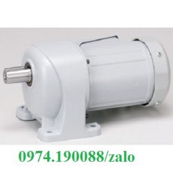 Nissei 0.1kw Motor