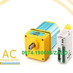 Troy động cơ giảm tốc