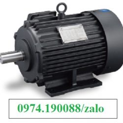 Fuji motor tại Đồng Nai