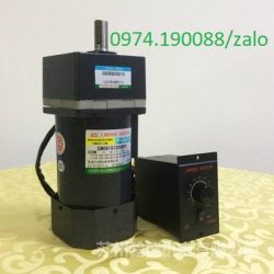 Liming motor tại Việt Nam