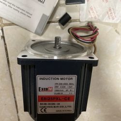 Excem động cơ AC có phanh 60W