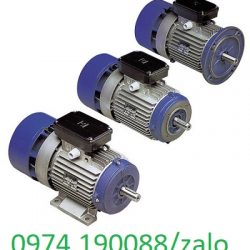 Siti động cơ hộp số Italy