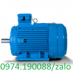 Branco motor tại Hồ Chí Minh