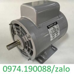 Murakiki motor tại Việt Nam