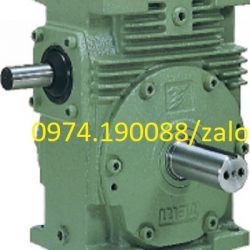 Hộp giảm tốc Hasegawa tại Hà Nội