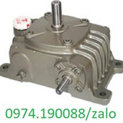 Wormgear Makishinko tại Hà Nội