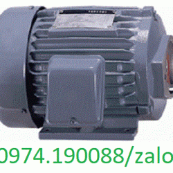 Higen motor cho bơm thủy lực