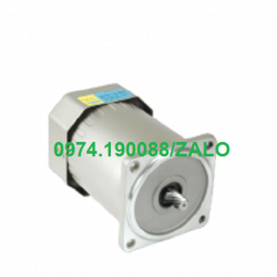 Peei Moger motor giảm tốc