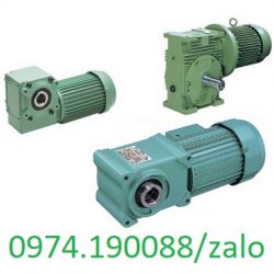 Tsubaki motor giảm tốc cốt âm