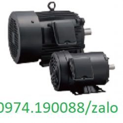 Fuji motor cho bơm Japan