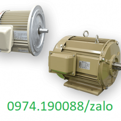 Showa motor chính hãng