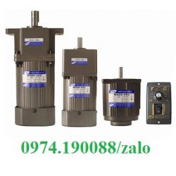 Động cơ mini TCG chính hãng