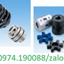 Khớp nối motor Tsubaki