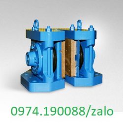 Suntes Nhật Bản tại Việt Nam