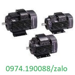 Grundfos tại Việt Nam