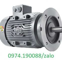 Motor Samyang tại Việt Nam