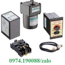 Sesame motor tại Việt Nam