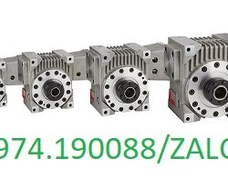 YJWORM đại lý chính thức