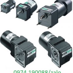 Động cơ Oriental tại Việt Nam