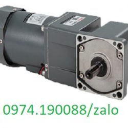 Wanshsin động cơ giảm tốc