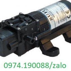 Sunflo bơm tại Việt Nam