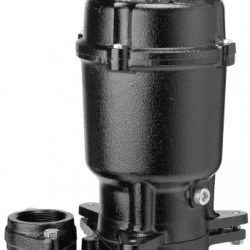 Trusumi chính hãng tại Hà Nội