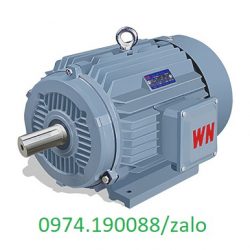 Wannan động cơ mặt bích