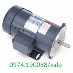 Leeson động cơ giảm tốc