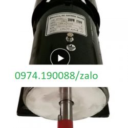 Zhoulin động cơ chính hãng