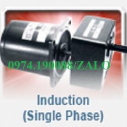 Ginre motor giảm tốc Taiwan