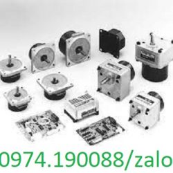 Nidec Nhật Bản chính hãng