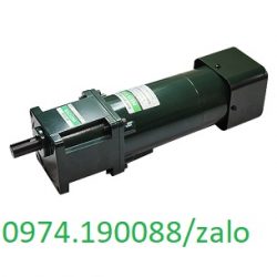 RH9S40-22-CQ động cơ điện Korea