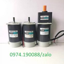 Feiteng động cơ DC 12V