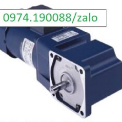 Hộp giảm tốc vuông góc trục dương