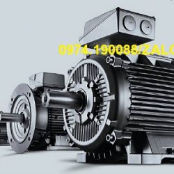 Động cơ chân đế Siemens 6P