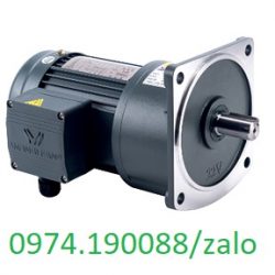 Hộp số mặt bích Wanshsin