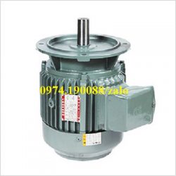 Motor mặt bích chính hãng