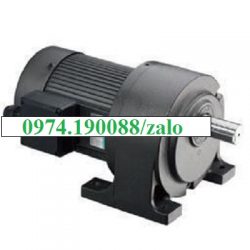 G12H200S-75  hộp giảm tốc chân đế
