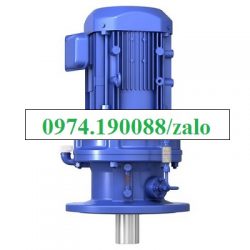 Motor mặt bích Sumitomo khuấy