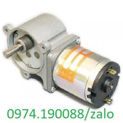 Motor DC 12v Nhật Bản