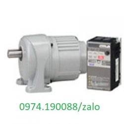 AFF28L80N-BLP020T2X motor giảm tốc