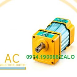 Hộp số giảm tốc Troy Đài Loan