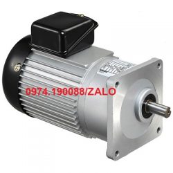 Luyang Đài Loan motor giảm tốc