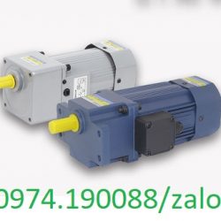 Motor 300w 21 pha 220v