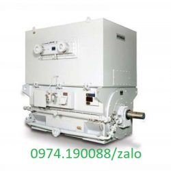 Mô tơ trung thế Hàn Quốc