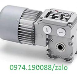 Technobi động cơ tại Hà Nội