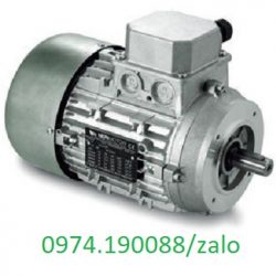 Motor 3 pha chân đế Nerimotori