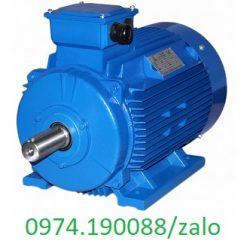 Motor SGP chính hãng tại Hà Nội